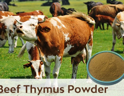 Beef Thymus Powder