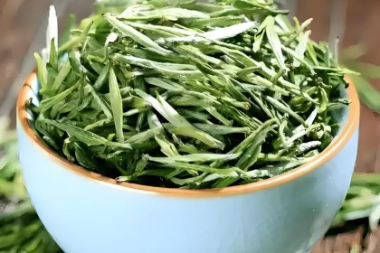 Green Tea Extract