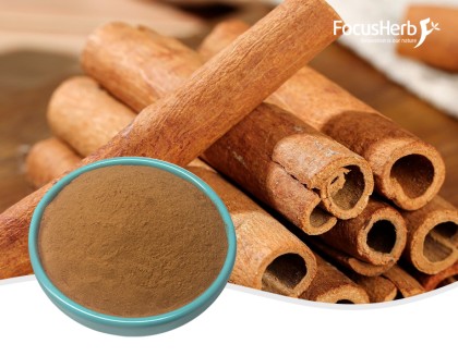 Cinnamon Extract