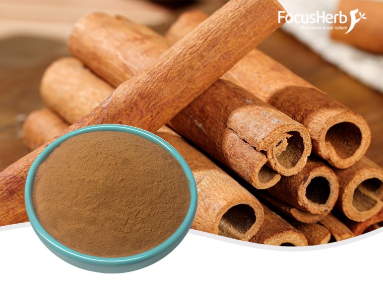 Cinnamon Extract