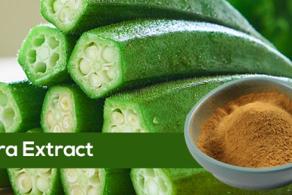Okra Extract