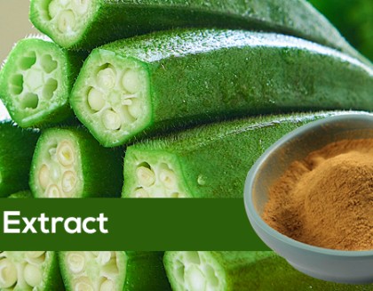 Okra Extract