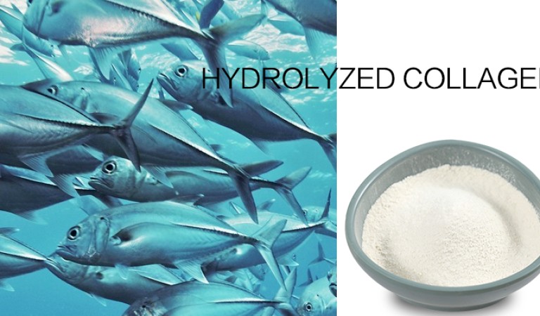 Fish Collagen: the secret to beauty and health from the ocean