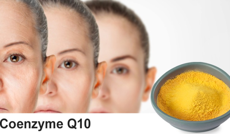 Coenzyme Q10: The Secret Code to Energy and Health