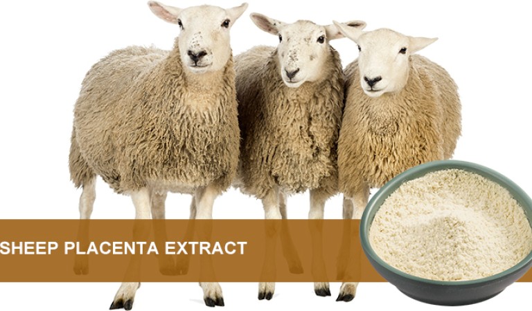 Sheep placenta powder:Nutritional treasure