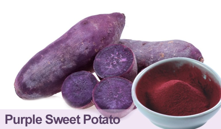 Purple Sweet Potato Color: Nature’s “color treasures” hidden underground
