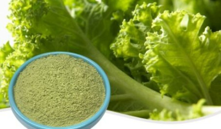 Kale powder: The secret weapon to boost immunity?