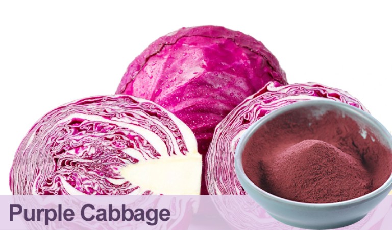 Purple Cabbage Powder:The Hidden Health Treasure in Powder