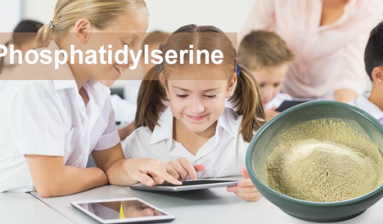 “Brain Nutrient”: How Phosphatidylserine Reshapes Cognition and Memory