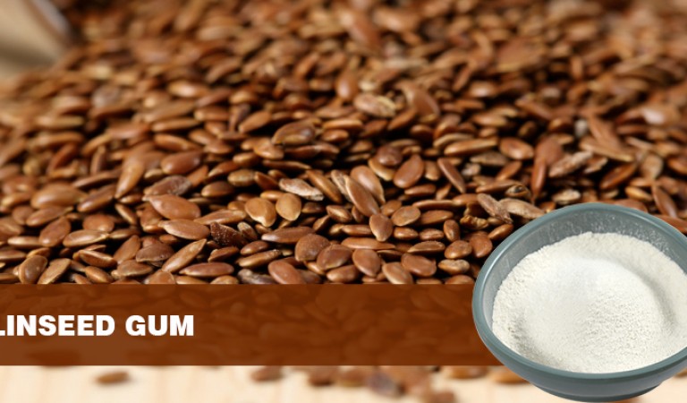 Flaxseed Gum: The Health Code of Natural Dietary Fiber
