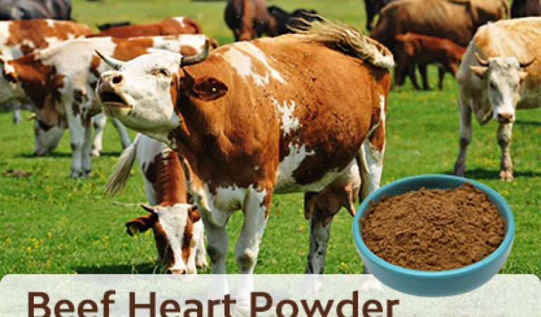 Beef heart powder: a new healthy choice with multi-dimensional nutrition