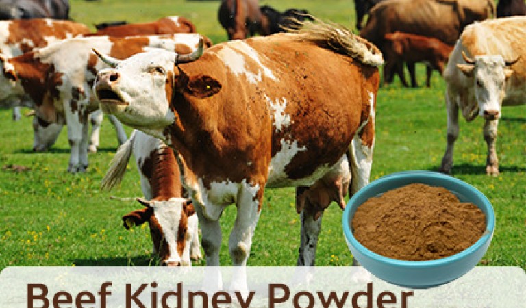 Beef kidney powder: From a nutritional treasure to a health code