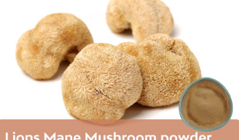 Lions Mane Mushroom powder: the natural key to protecting gastrointestinal health