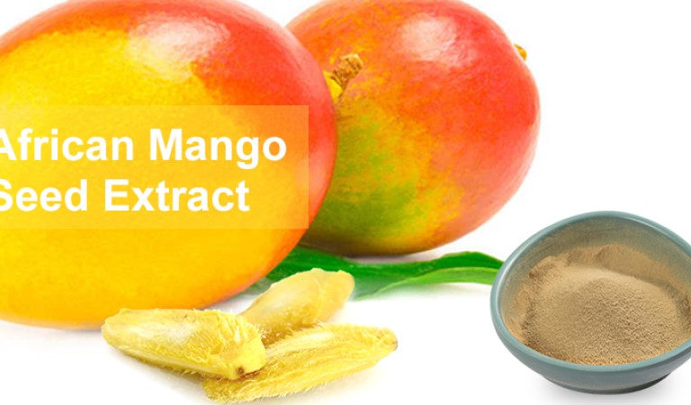 African Mango Seed Extract: A treasure of health gifted by nature