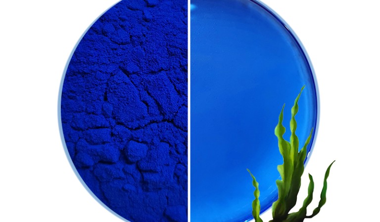 Phycocyanin Pigments: A Comprehensive Explanation of the Blue Miracle- FocusHerb