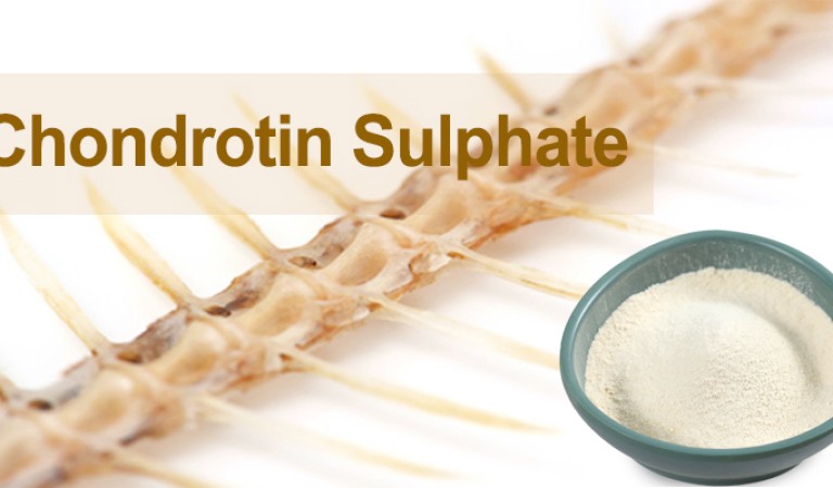 Chondroitin Sulfate: A Multidimensional Analysis of the Guardian of Joint Health