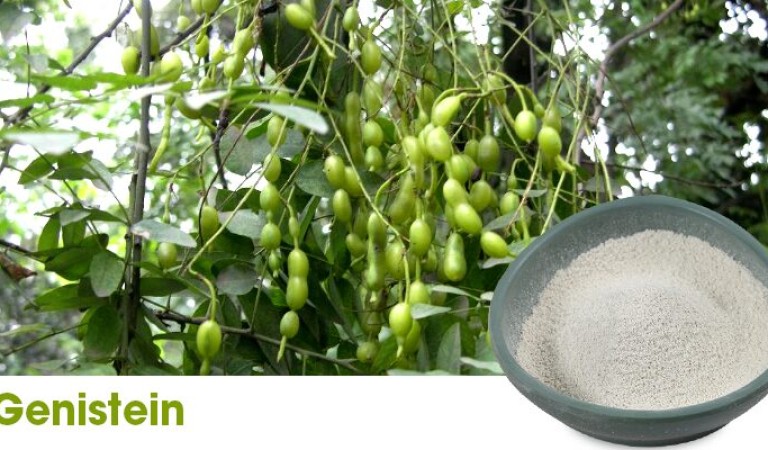 Genistein: A versatile phytoestrogen and its health potential