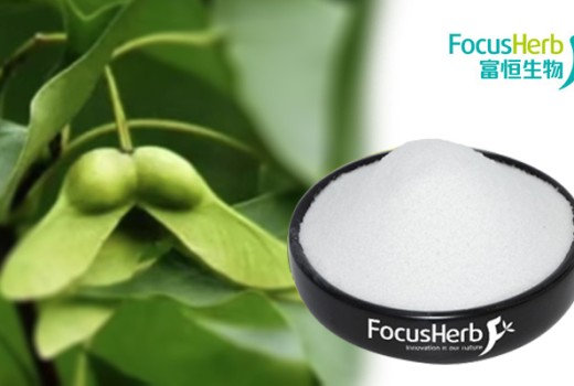 Nervonic Acid: Decoding the “Brain Gold” for cognitive empowerment throughout the life cycle