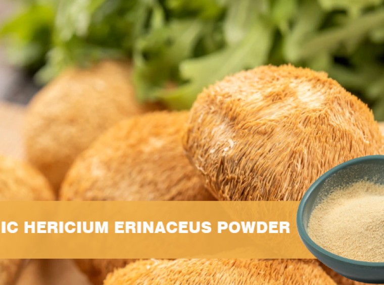 Organic Lion’s Mane Powder