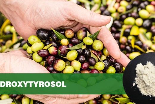 Hydroxytyrosol: The natural key to brighten your skin from the root