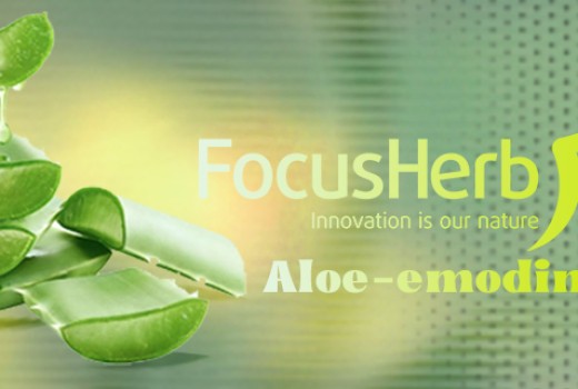 Aloe-emodin:A new paradigm for the application of health products based on natural anthraquinone ingredients