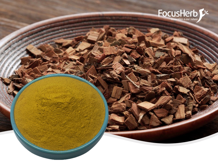 White Willow Bark Extract Salicin