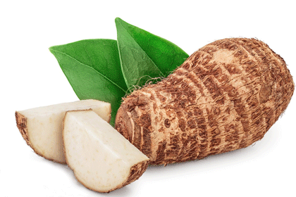 Pueraria