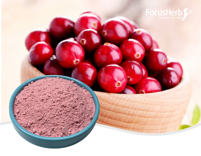 Cranberry Powder