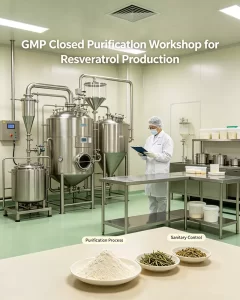 GMP closed purification workshop for resveratrol production