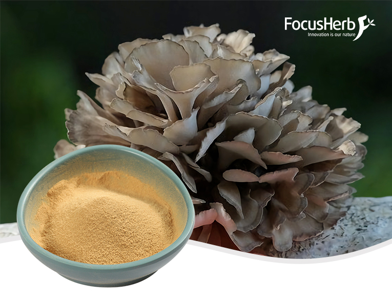 Organic Maitake Mushroom Powder
