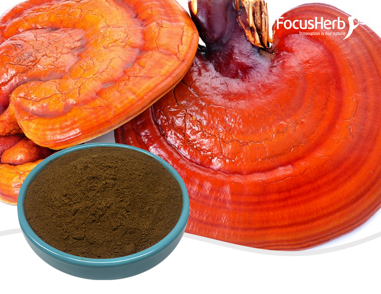 Organic Reishi Powder
