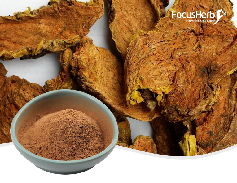 Rhodiola rosea extract