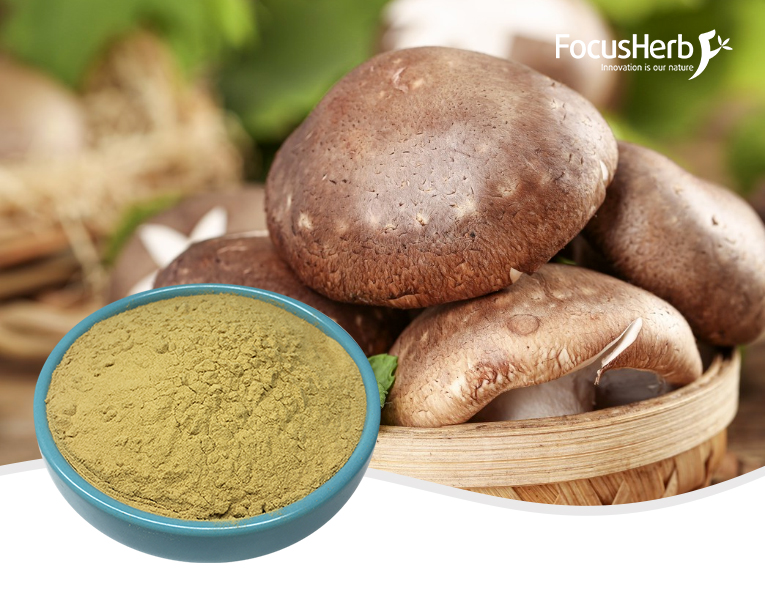 Organic Shiitake Mushroom Powder