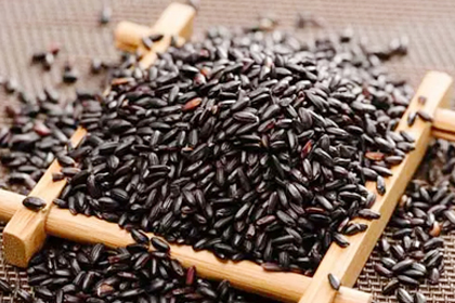 Black Rice Extract