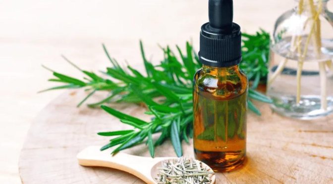 Whole Herbs or Standardized Herbal Extracts, Which is better