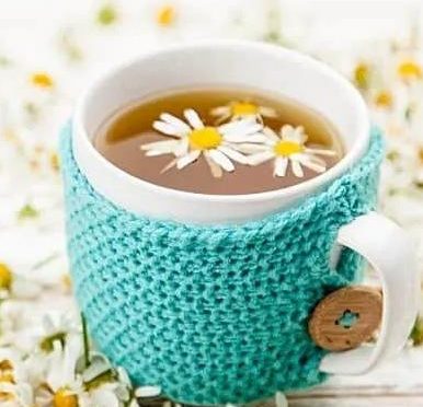 Nervine Herbs: What They Are And How They Can Help You