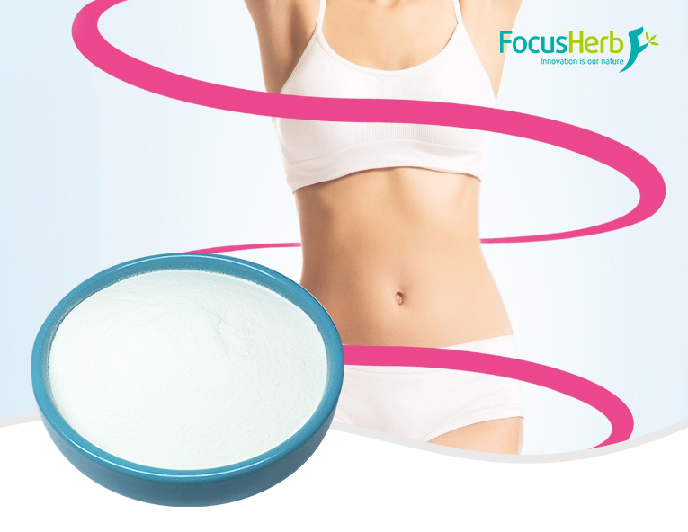 L-Carnitine L-Tartrate C18H36N2O12 - FocusHerb