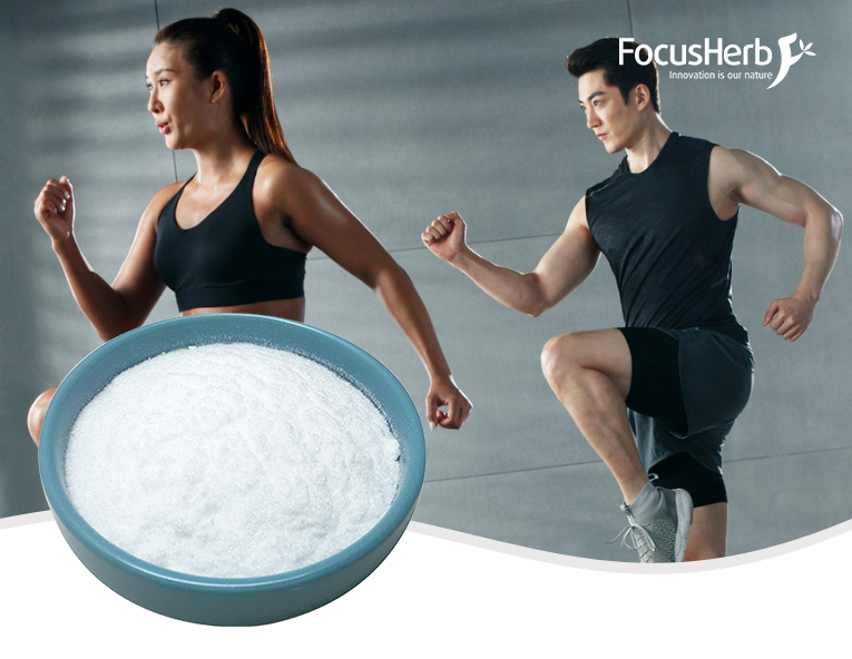 Acetyl-L-Carnitine HCL