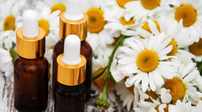 An Introduction To Botanical Extracts: Nature’s Healing Power