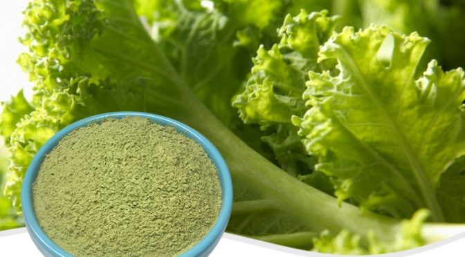 The Many Health Benefits of Kale: A Super Powder