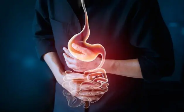 Risks and Side Effects of Mushroom Extract