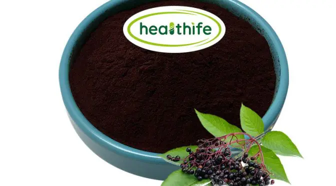 Elderberry Extract: Benefits, Uses, Side Effects