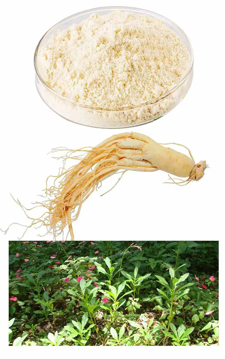 Ginseng extract side effects