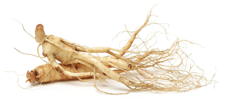 Ginseng extract