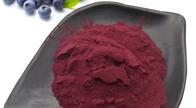 Bilberry Extract: The Natural Way To Improve Your Vision