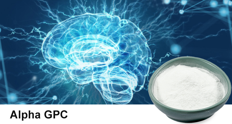 Alpha GPC applications