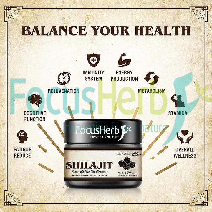 Shilajit Resin Benefits
