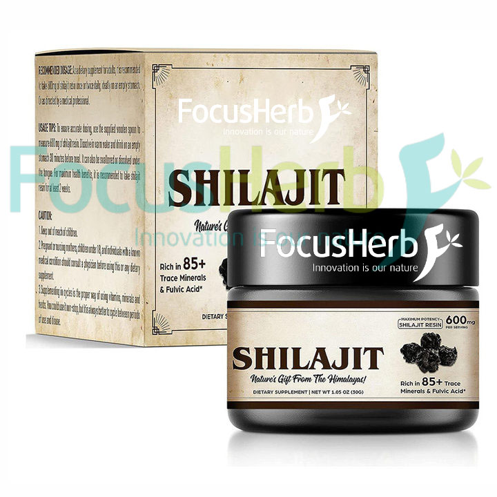 What's Shilajit Resin