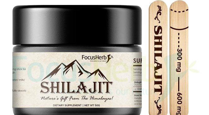 Unveiling the Secrets of Shilajit Paste: The Ancient Brain Booster and Growth Regulator