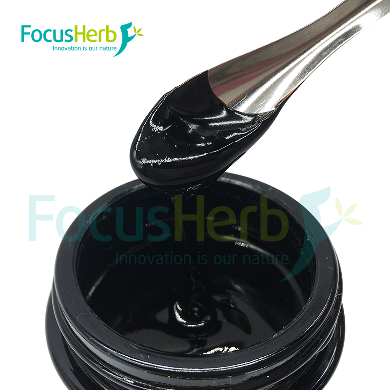 Nutrient-Rich Profile of Shilajit